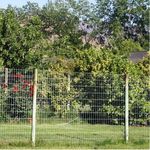 Malla-acma-3G-galvanizada