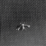 malla-mosquitera